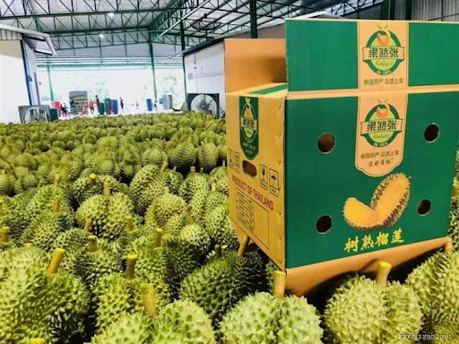 葡萄种植对干旱地区生态系统保护的协同作用
